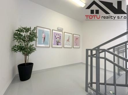 Pronájem kanceláře, 45 m²