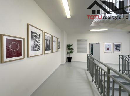 Pronájem kanceláře, 45 m²