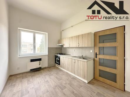 Pronájem bytu, 1+1, 45 m²