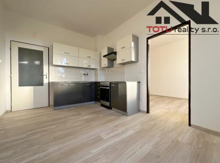 Pronájem bytu, 1+1, 42 m²