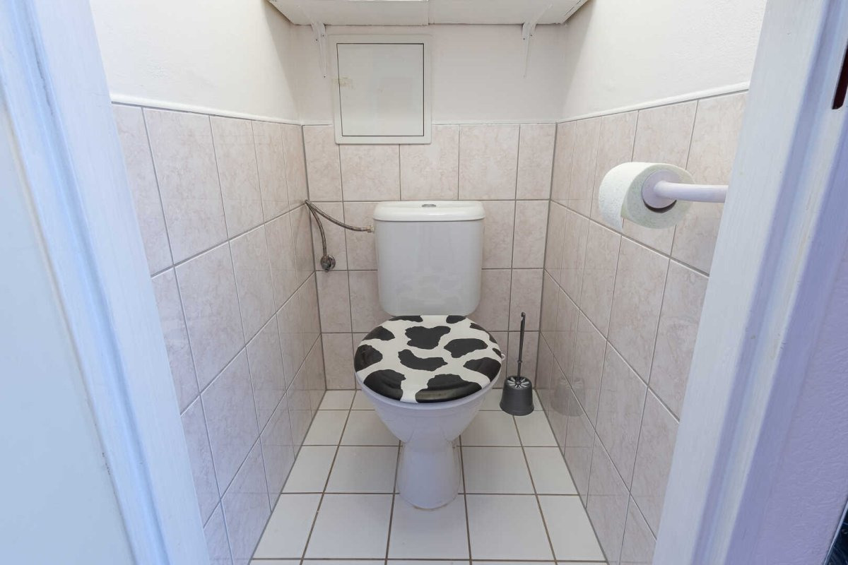 Fotku se nepodařilo načíst.