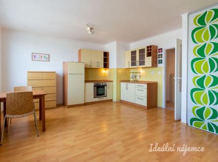 Pronájem bytu, 1+kk, 40 m²