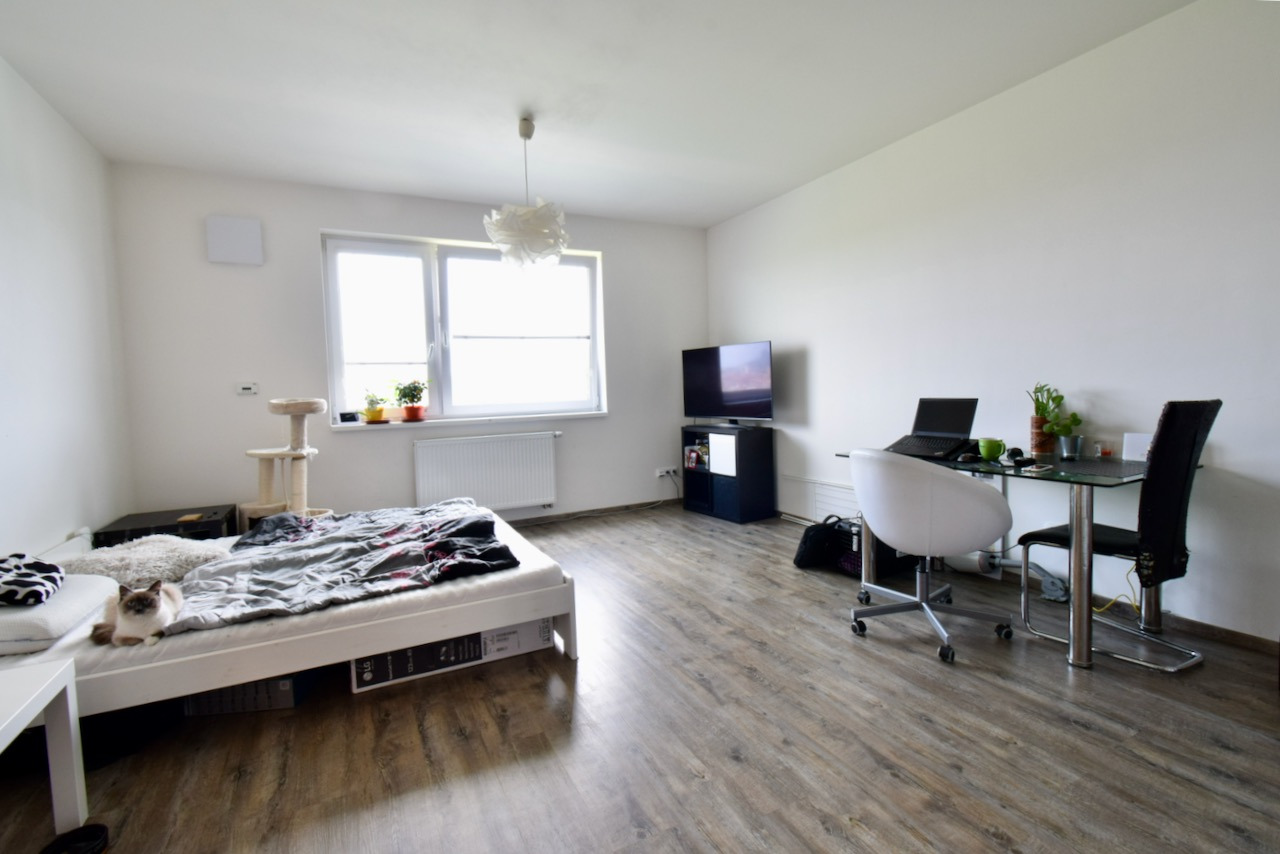 Pronájem bytu 1+kk, třída Generála Píky, Brno-Královo Pole, 14 900 Kč/měs., 30 m2