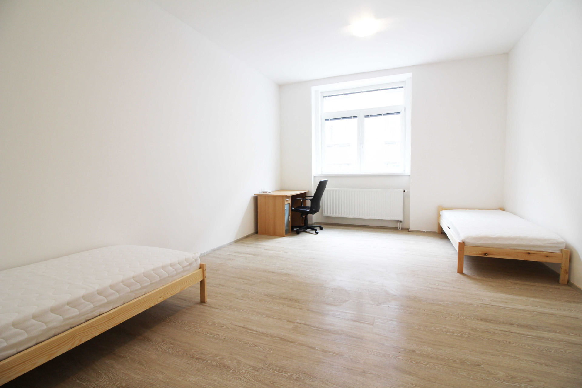 Pronájem bytu 1+kk, Francouzská, Brno - Zábrdovice, 69 m2