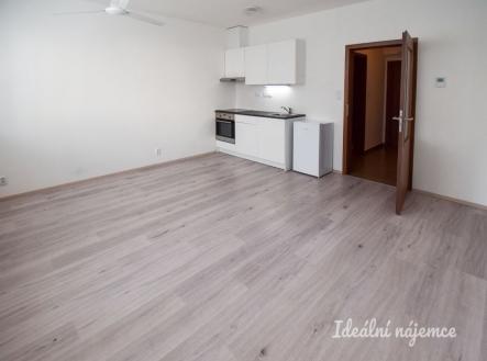 Pronájem bytu, 1+kk, 30 m²