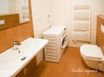 Pronájem bytu, 1+kk, 30 m²