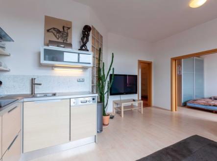 Pronájem bytu, 2+kk, 49 m²