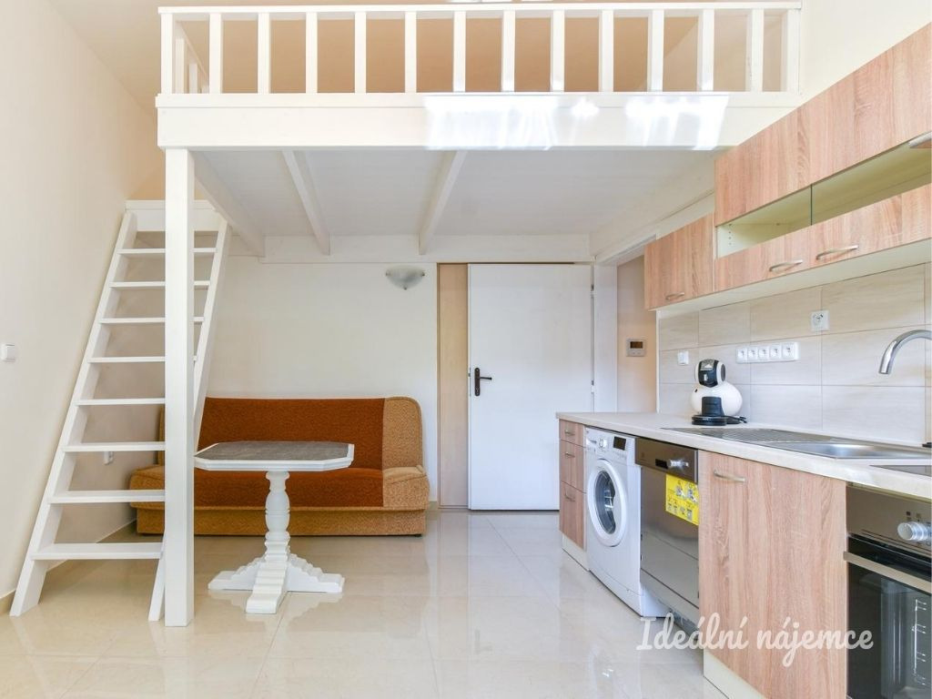 Pronájem ateliéru 1+kk, Soběslavská, Praha 3 - Vinohrady, 13 900 Kč /měs., 23 m²