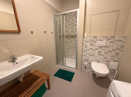 Pronájem bytu, 1+kk, 30 m²