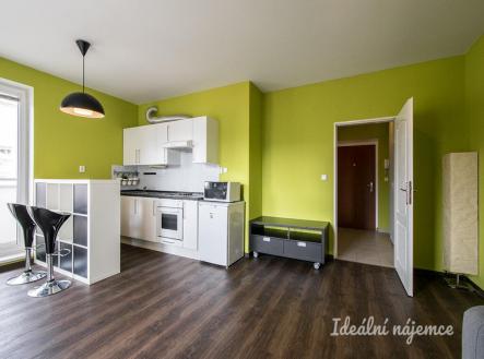 Pronájem bytu, 1+kk, 31 m²