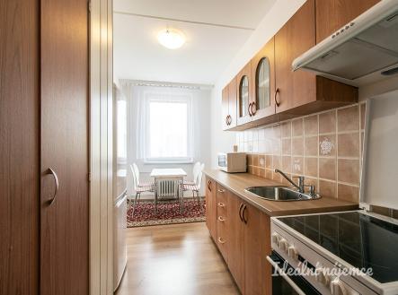 Pronájem bytu, 1+1, 42 m²
