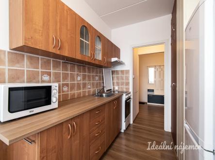 Pronájem bytu, 1+1, 42 m²