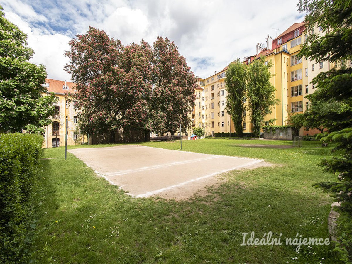 Fotku se nepodařilo načíst.