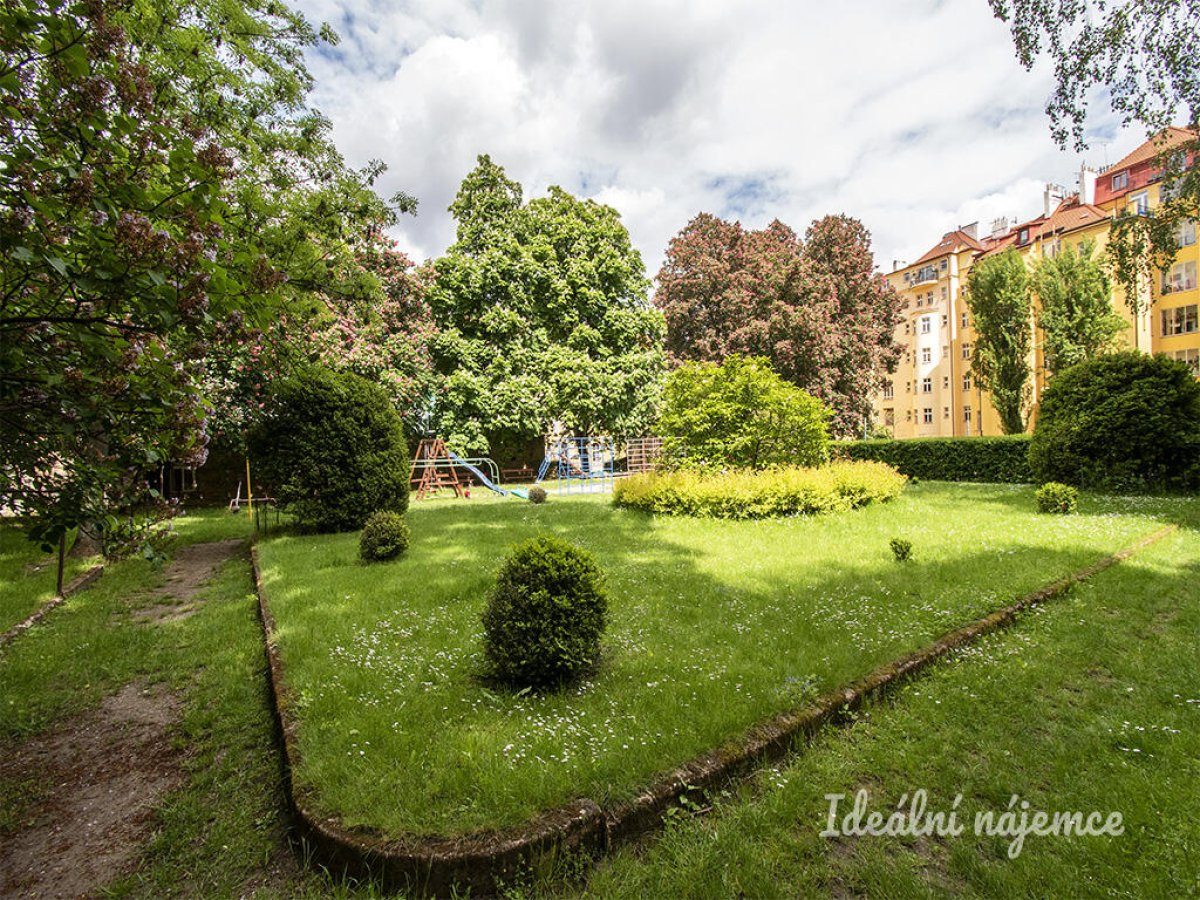 Fotku se nepodařilo načíst.