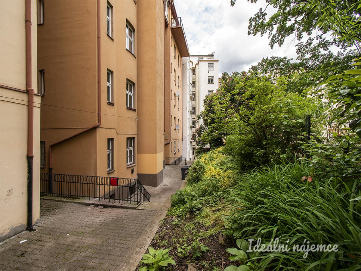 Fotku se nepodařilo načíst.