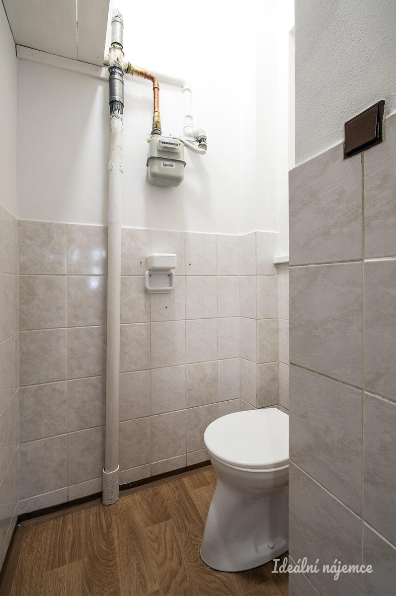 Fotku se nepodařilo načíst.