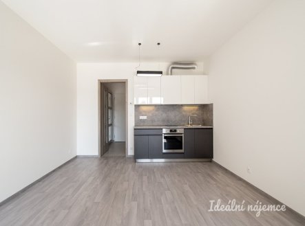 Pronájem bytu 1+kk, Na Domovině, Libuš, 17 000 Kč/měs, 30 m2