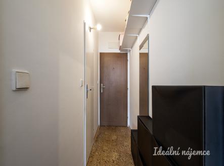 Pronájem bytu, 1+kk, 25 m²