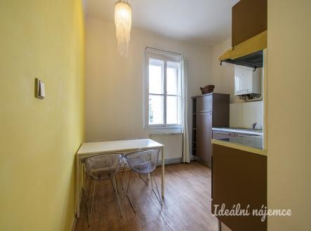 Pronájem bytu, 1+1, 45 m²