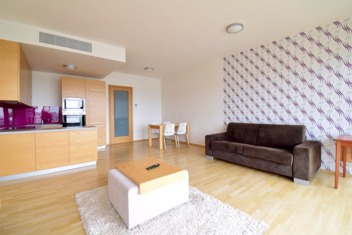 Pronájem bytu 1+kk, Bohuslava Martinů, Brno - střed, 50 m2