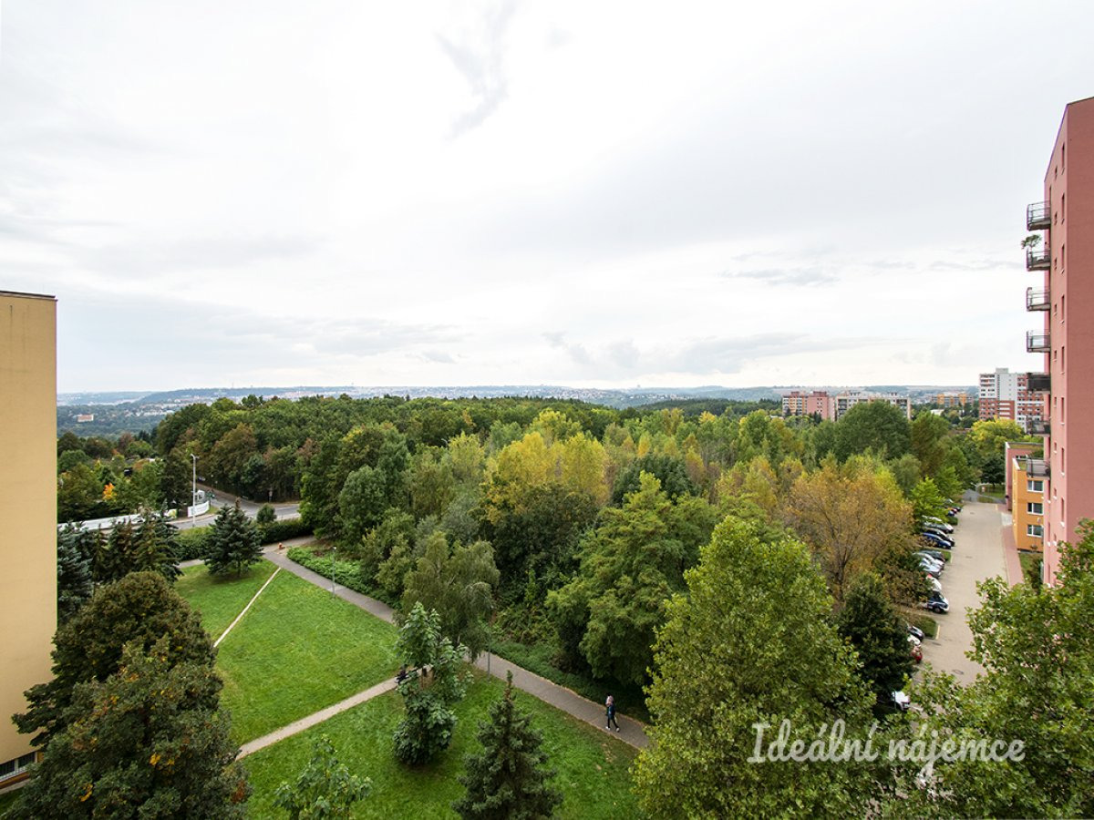 Fotku se nepodařilo načíst.