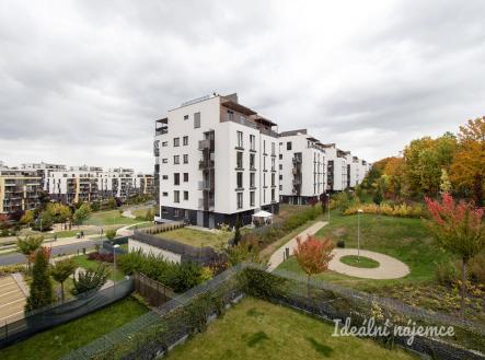 Pronájem bytu, 2+kk, 54 m²