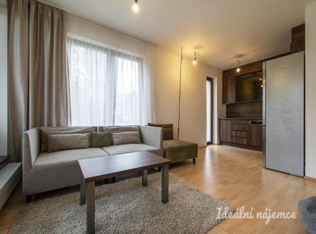 Pronájem bytu, 2+kk, 54 m²
