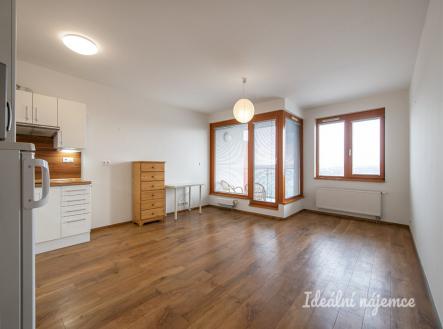 Pronájem bytu, 1+kk, 39 m²