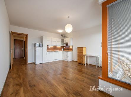 Pronájem bytu, 1+kk, 39 m²