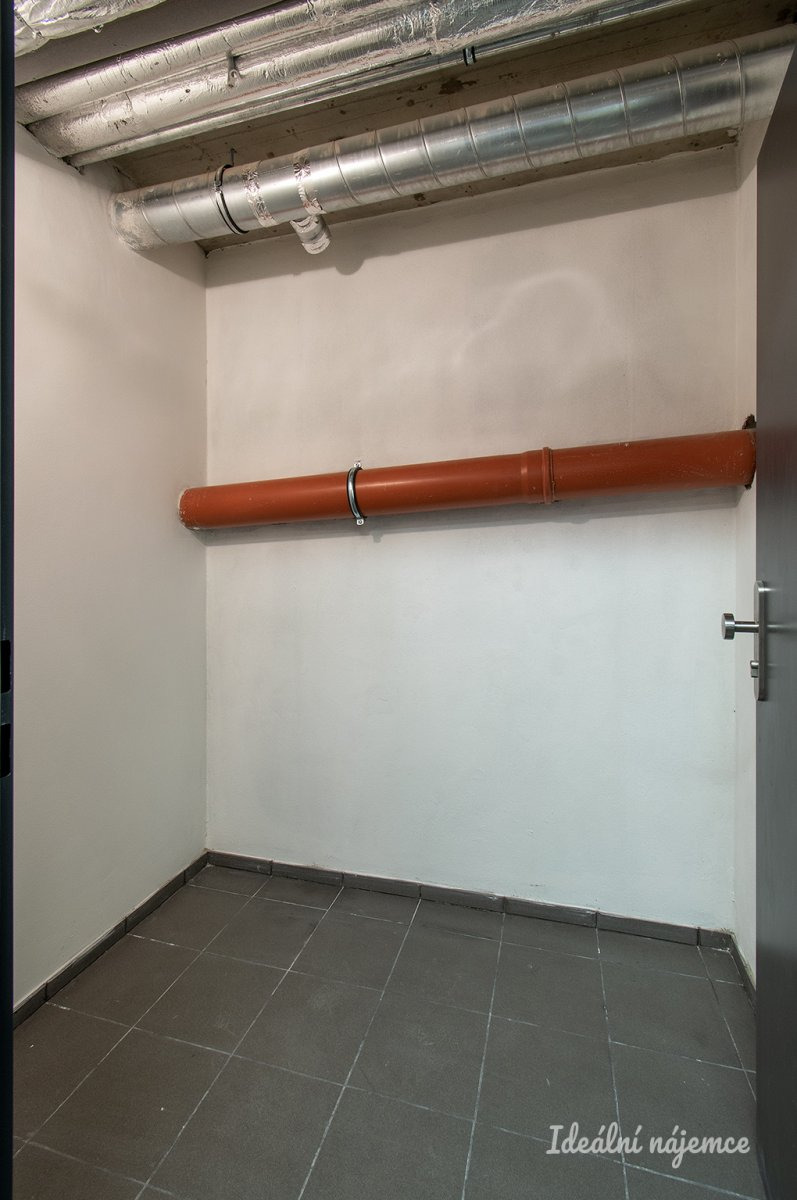 Fotku se nepodařilo načíst.