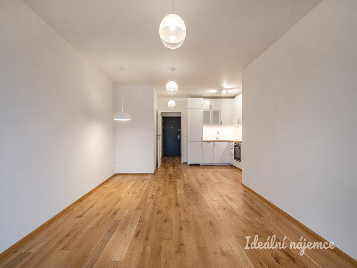 Pronájem bytu 2+kk, Holečkova, Smíchov, 25000 Kč/měs, 60 m2