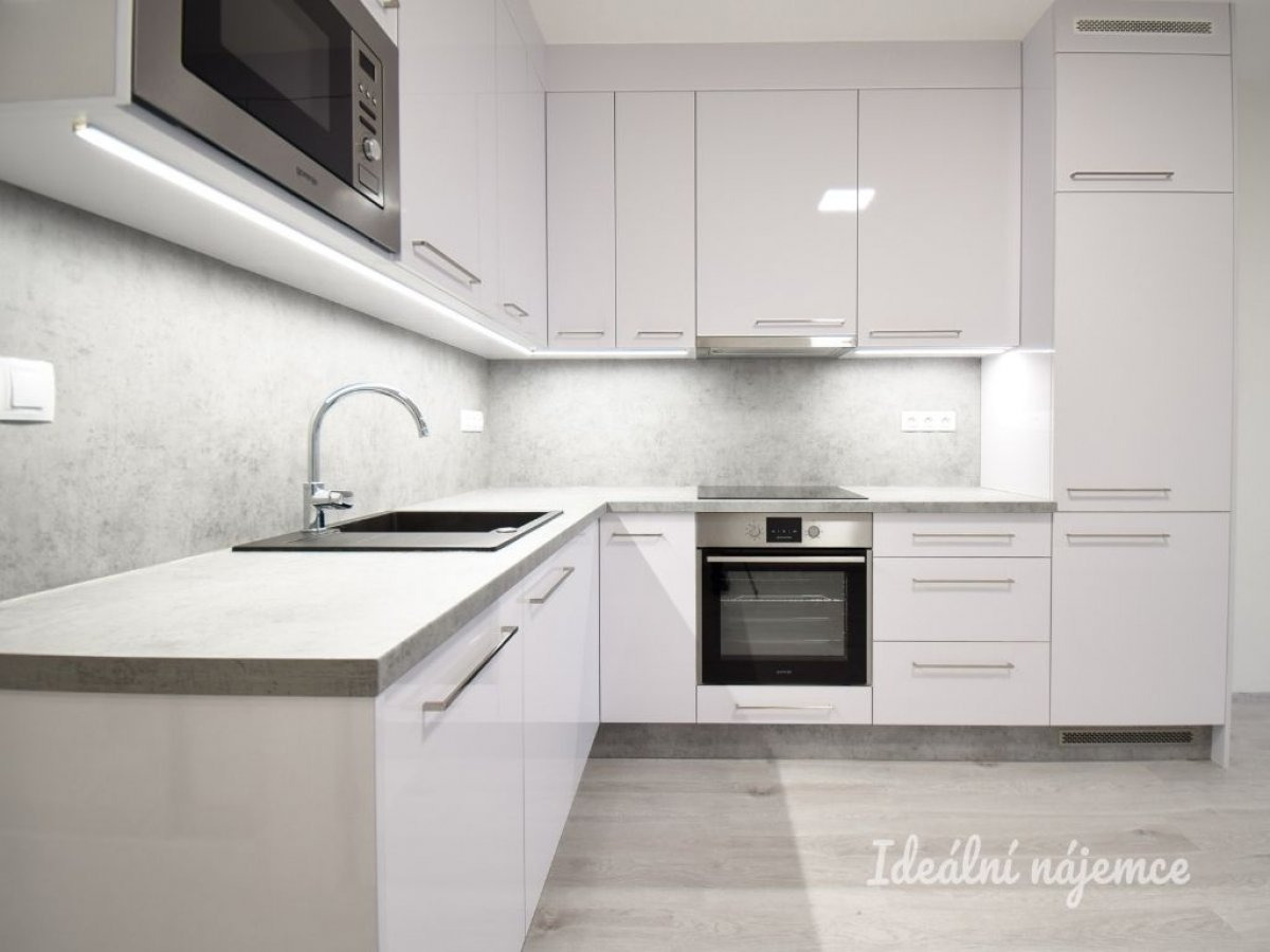Pronájem bytu 1+kk, Reissigova, Ponava,  15900 Kč/měs, 35 m2