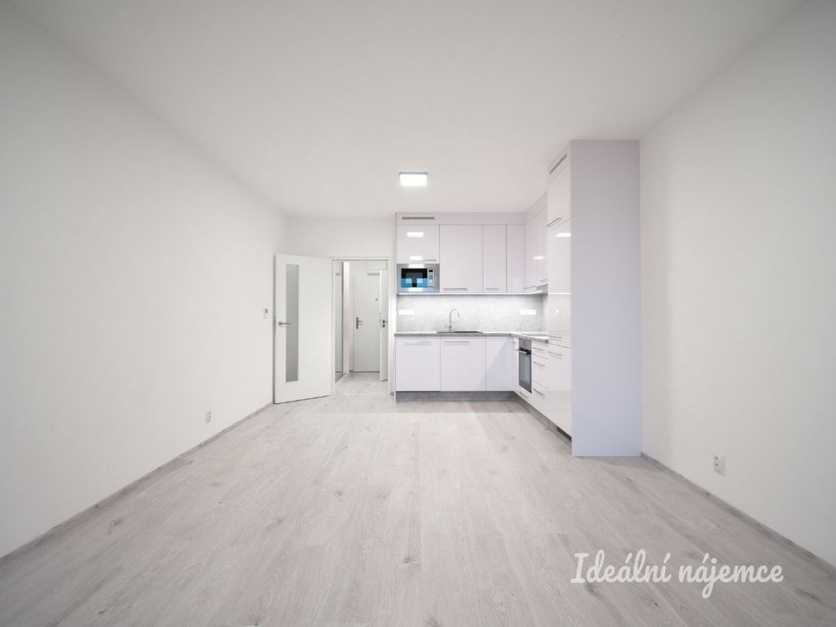 Pronájem bytu 1+kk, Reissigova, Ponava,  15900 Kč/měs, 35 m2