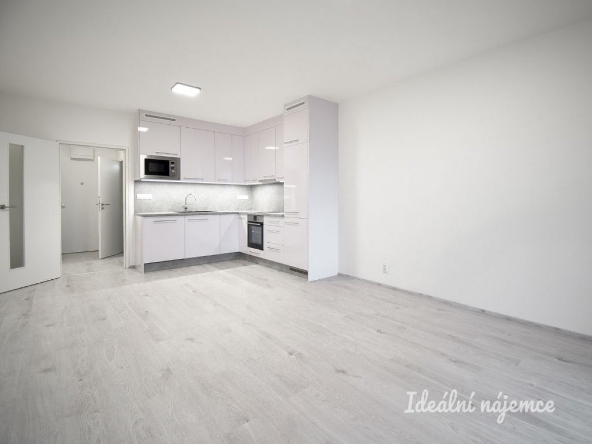 Pronájem bytu 1+kk, Reissigova, Ponava,  15900 Kč/měs, 35 m2