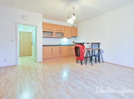 Pronájem bytu, 1+kk, 34 m²