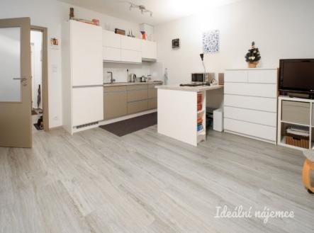 Pronájem bytu, 1+kk, 35 m²