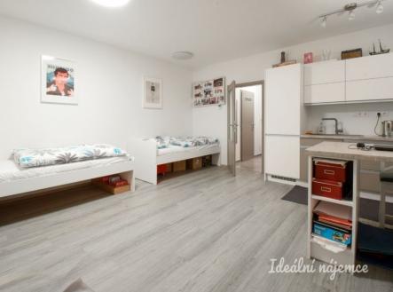 Pronájem bytu, 1+kk, 35 m²