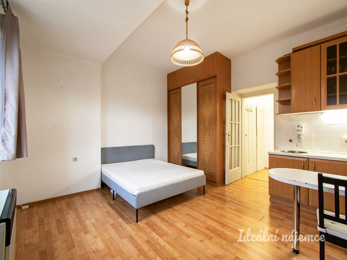 Pronájem bytu 1+kk, Na Rokytce, Libeň, 17 700 Kč/měs, 29 m2