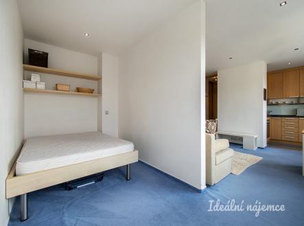 Pronájem bytu, 1+kk, 42 m²