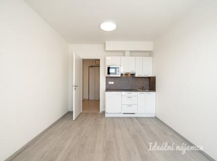 Pronájem bytu, 1+kk, 25 m²