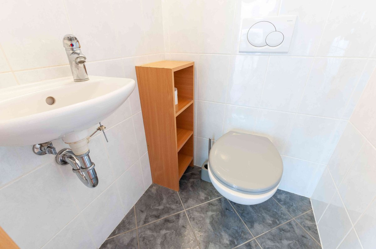 Fotku se nepodařilo načíst.