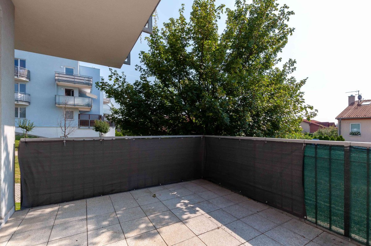 Fotku se nepodařilo načíst.