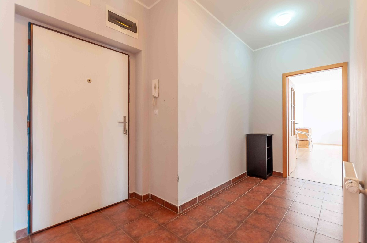 Fotku se nepodařilo načíst.