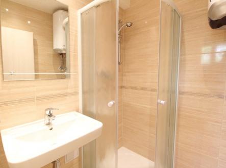 Pronájem bytu, 2+1, 40 m²