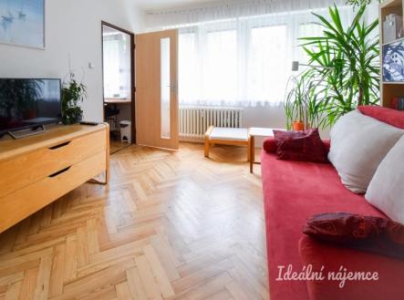 Pronájem bytu, 1+1, 25 m²