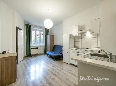 Pronájem bytu, 1+kk, 25 m²