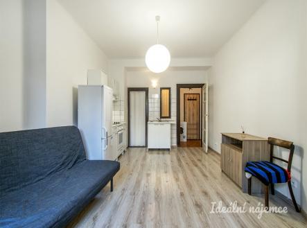 Pronájem bytu, 1+kk, 25 m²