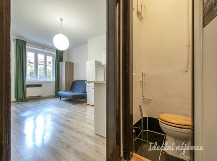 Pronájem bytu, 1+kk, 25 m²