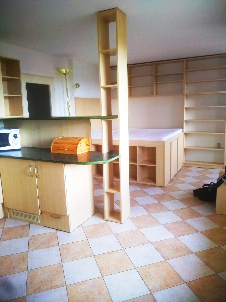 Pronájem bytu 1+kk, Máchova, Plzeň, 12000,- Kč/měs, 36 m2