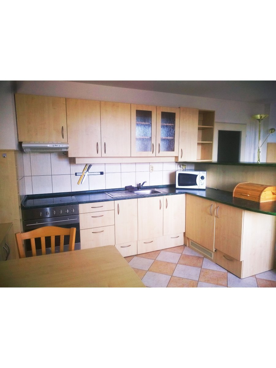 Pronájem bytu 1+kk, Máchova, Plzeň, 12000,- Kč/měs, 36 m2
